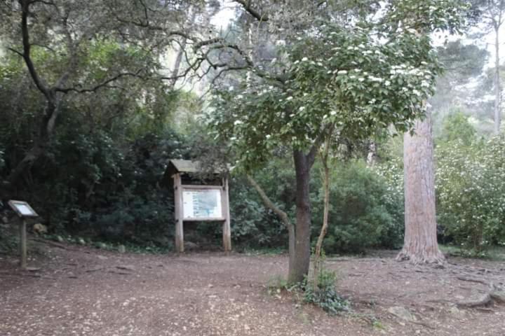 Casa Rural Ca Xelo Apartment Polinya de Xuquer Exterior photo